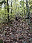 Ruth Dorrough; Mt Pemigewassett Hiking White Mountains New Hampshire